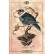 Hush Tarot